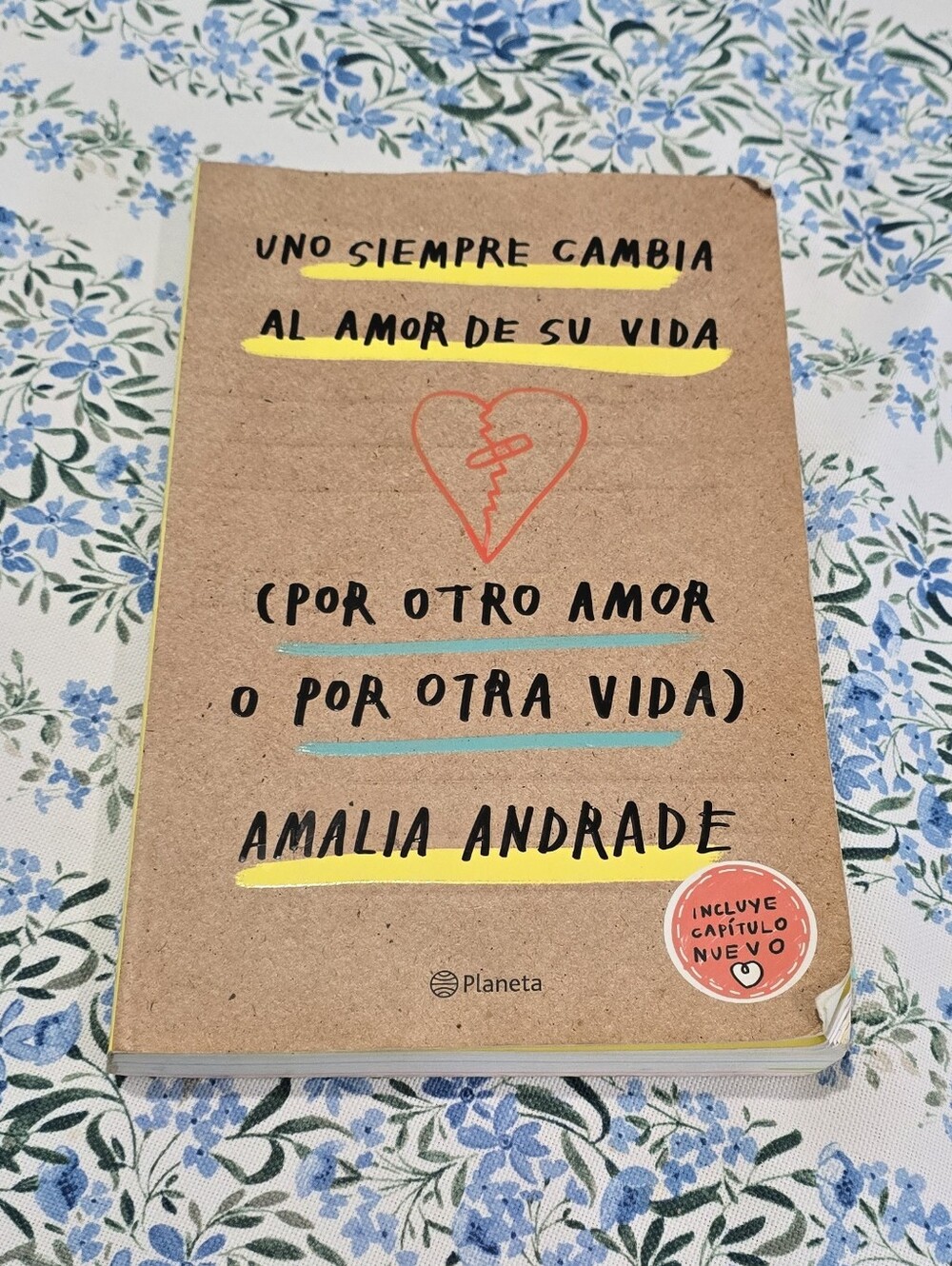 Uno Siempre Cambia Al Amor De Su Vida // Amalia Andrade // Spanish Edition